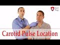 How to Find the Carotid Pulse - EMTprep.com