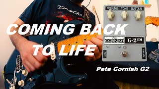 Pete Cornish G-2 - What To Know & Where To Buy | Equipboard