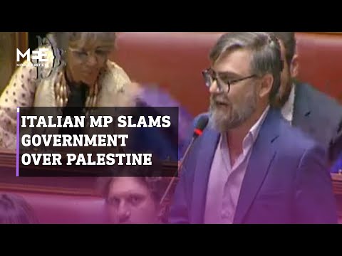 Italian MP slams government and prime minister over Palestine vote