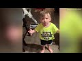 Two Year Old Boy Rants When Mum Leaves For Work Without Kissing Him Goodbye