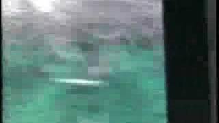 Ghost of an American Airman - Honeychild