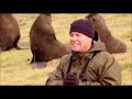Into Alaska With Jeff Corwin Fur Seals Of St George Island