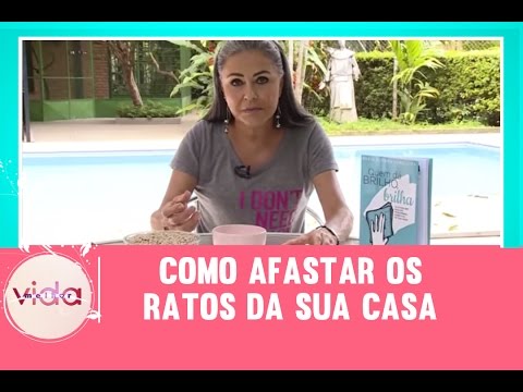 Como afastar os ratos da sua casa - Vida Melhor - 20/01/2017