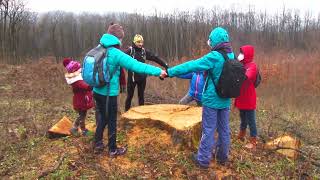 Dezastru în Codrii Iașilor