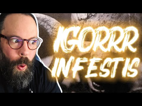 I WAS NOT READY FOR THIS! IGORRR - Infestis