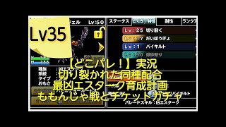 【どこパレ！】Lv36　最凶エスターク育成計画完了！守りを捨てバトルマスター(器用貧乏)と化した脳筋仕様