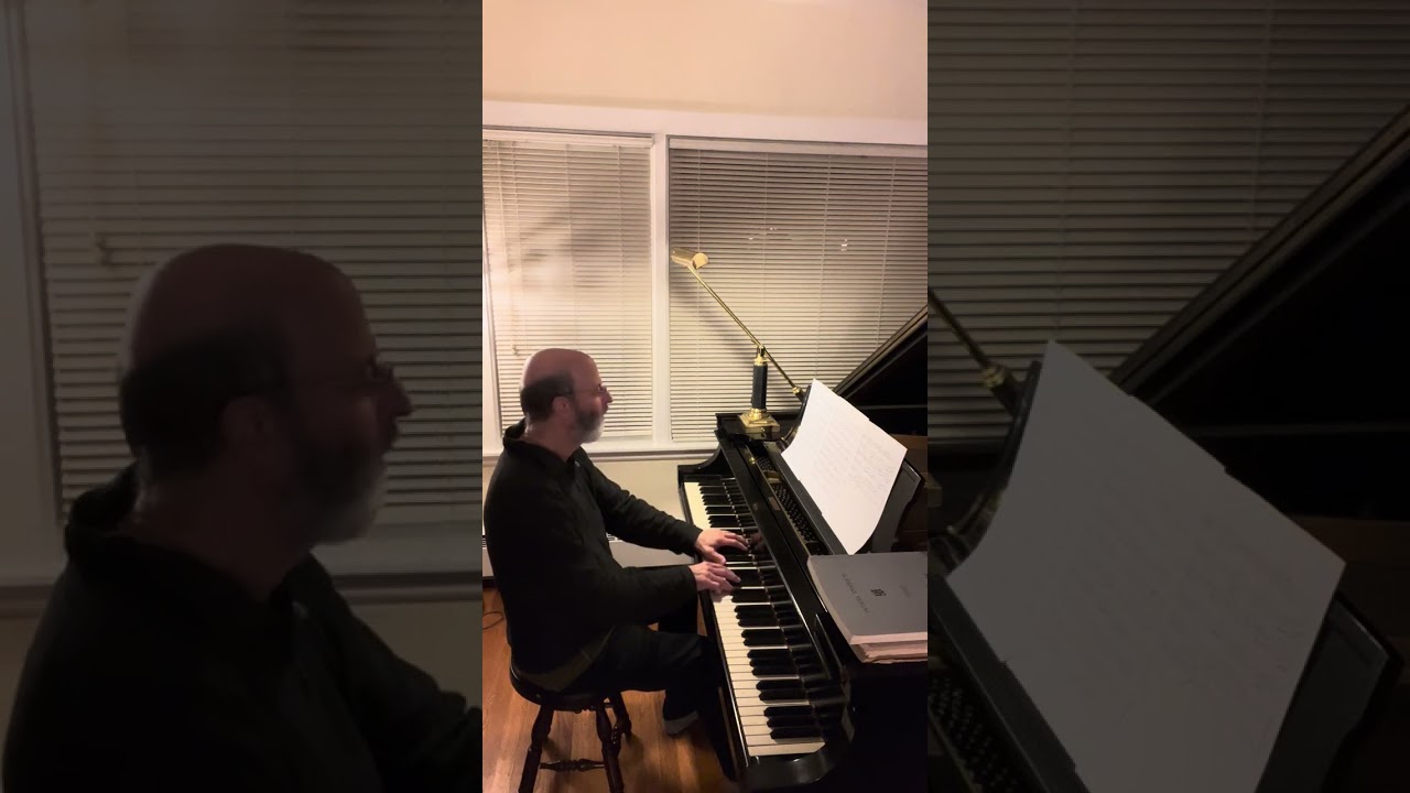 Promotional video thumbnail 4 for Sinfonietta Arts