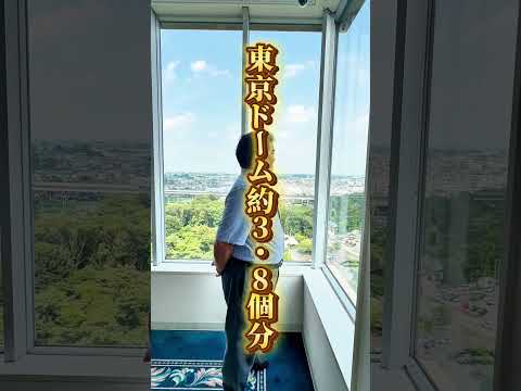 大学が大好きなスーパー用務員