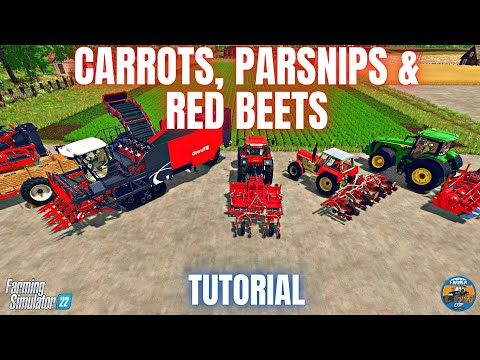 HOW TO GROW CARROTS, PARSNIPS & RED BEETS - PREMIUM EXPANSION - Farming Simulator 22