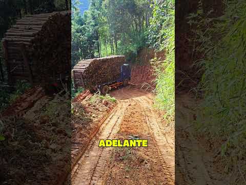 🚛🔥 ¡Maniobra extrema! Camión cargado supera curva imposible