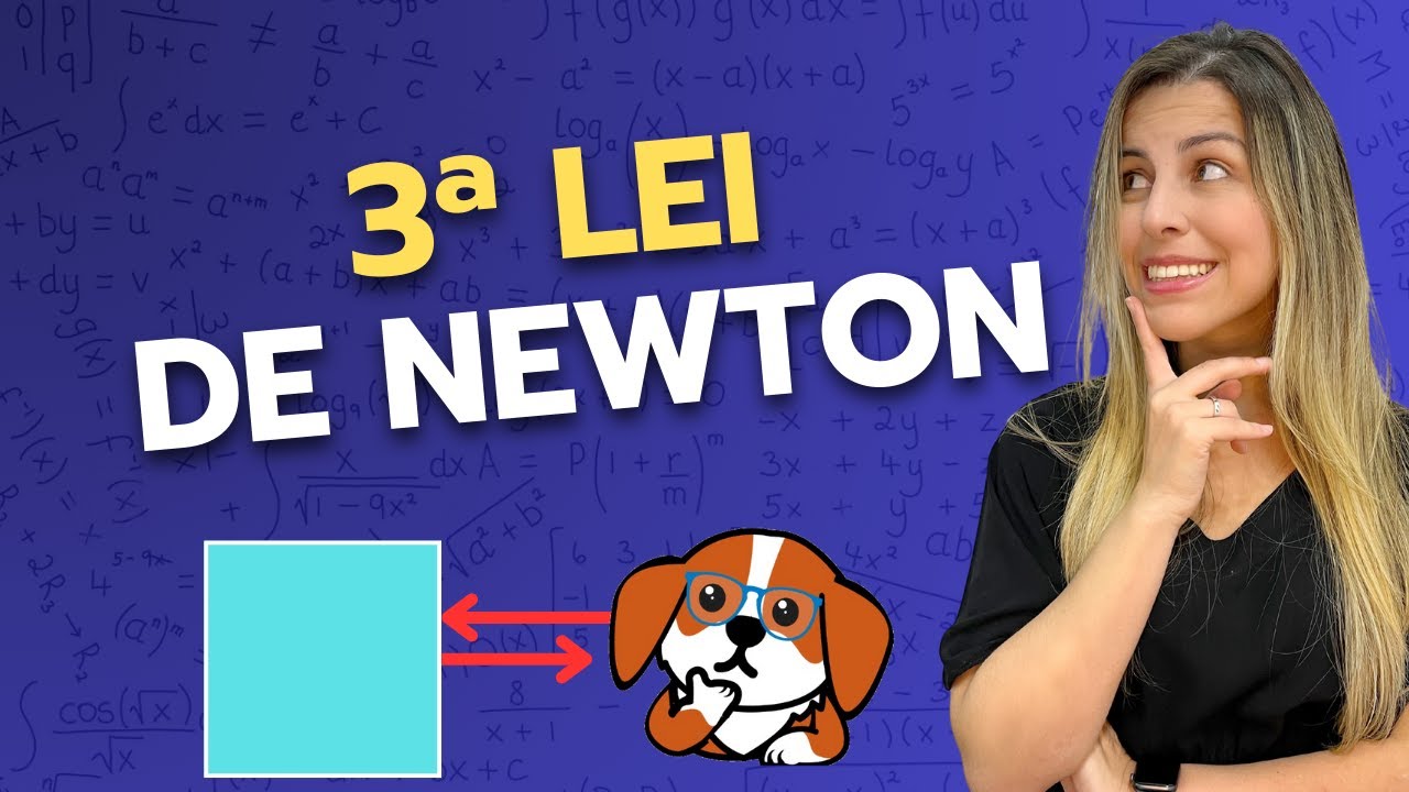 O que diz a Terceira Lei de Newton? | Física 1