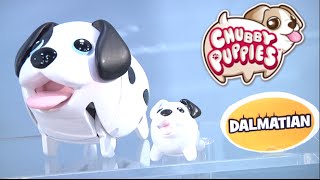 Toy Fair 2016: Spin Master's Air Hogs, Zoomer, The Secret Life of Pets and more