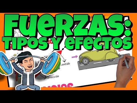 Cómo signar Fuerza De Contacto en LSE