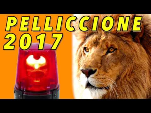 Pelliccione 2017 Official Medley (Paranza Leoni)
