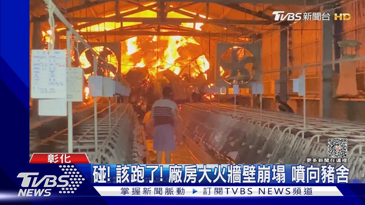 完了完了BBQ了　豬舍隔壁沙發廠大火搶救大豬