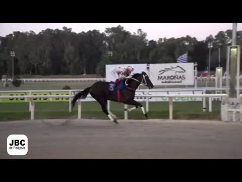 Gran Premio General Artigas - Hipódromo de Maroñas - 05 de marzo de 2023