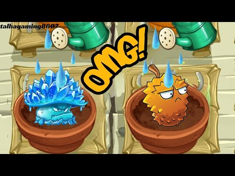 Random Plants Animation Instant-Use In Zen Garden - Plants Vs Zombies 2 Part 1