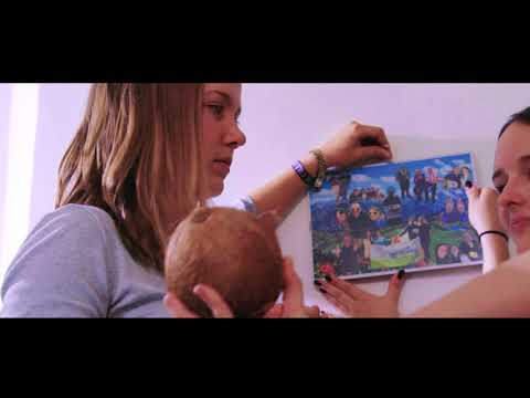 BDKJ junges Gemüse - Harte Schale - weicher Kern