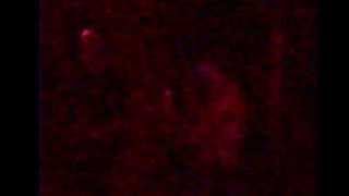 Dayglo Abortions - Courage In a Can