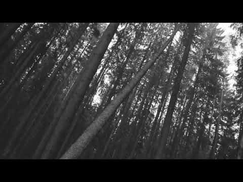 VALLI NEO | HIP HOP FREESTYLE | LEONID ROSE, LIOANAIRE - SHOTS