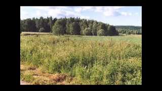 Dungen - Och solen stiger upp + Känslan som gror (Vinylversioner)