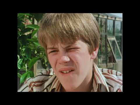 Fünf Freunde im Zeltlager Teil 1 - Serie 1 Folge 7 - Fünf Freunde 1970's HQ