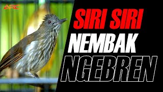 Download lagu SIRI SIRI GACOR FUL NEMBAK SPED RAPET mp3 Download lagu SIRI SIRI GACOR FUL NEMBAK SPED RAPET mp3