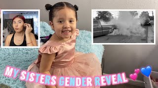 MY TWIN SISTERS GENDER REVEAL!!💙💕 *gone wrong*