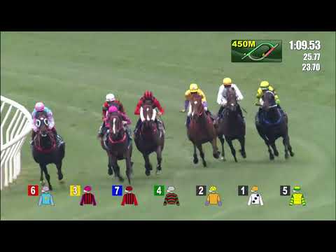 [Stewards’ Cup 2022] Race Replay