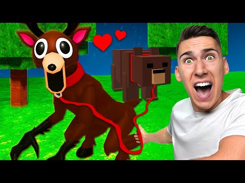 99 NOĆI U ŠUMI SA LJUBIMCIMA!