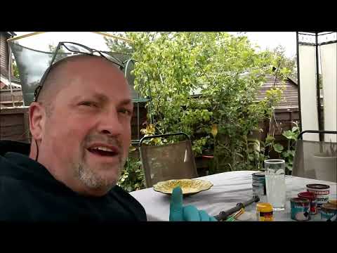 Birdbath restoration