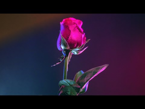 Vintage & Morelli - My Rose Enchanted Destiny (Approaching Black Remix) [Silk Music]