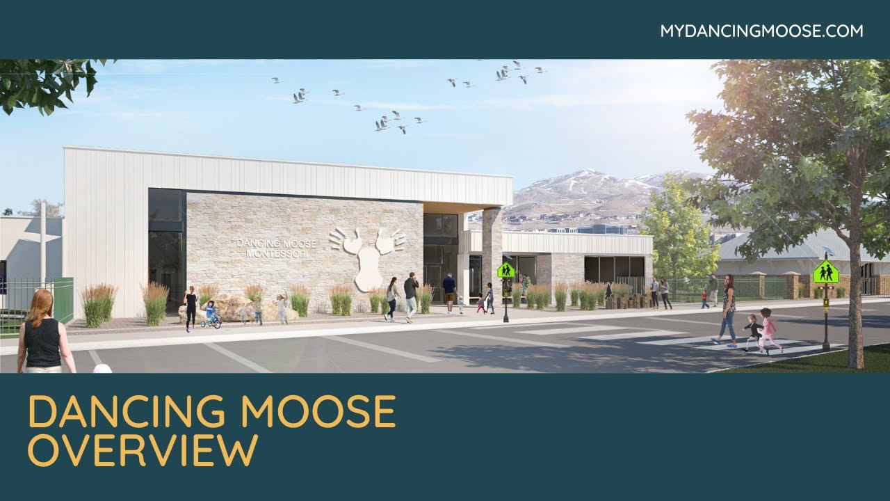 Dancing Moose Overview Footage