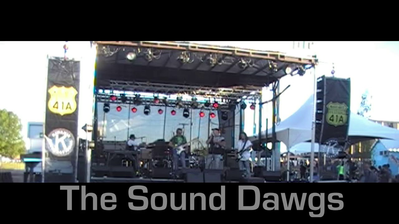 Promotional video thumbnail 2 for The Sound Dawgs