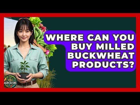 Where Can You Buy Milled Buckwheat Products? - The World of Agriculture