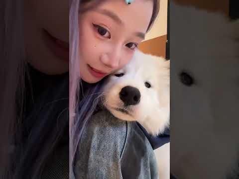 【叶咕】喜欢这种开心就会流我一裤子口水，，，老实巴交的笨蛋小狗，， #欢迎来到我的精神世界#tiktok #beauty #cute #daliyvlog #funny #fyp