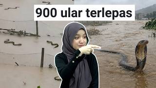 Download lagu Punca Banjir China Sampai 900 Ular Terlepas mp3 Download lagu Punca Banjir China Sampai 900 Ular Terlepas mp3