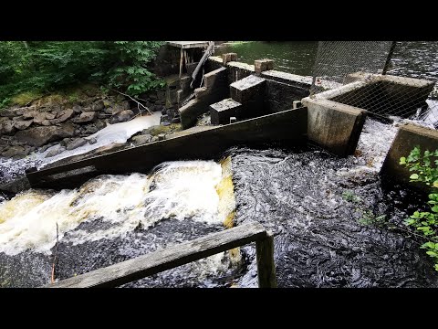 SNITTINGFALLET - 200730 - Bräkneån - BRÄKNE-HOBY - Ronneby - Huawei P30 PRO - BLEKINGE