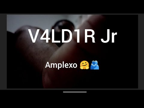 Amplexo - V4ld1r Jr