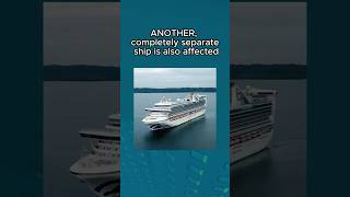 There's ANOTHER Cruise Ship Virus…😬 #robloxrant #norovirus #cruiseship #outbreak #virus #explained