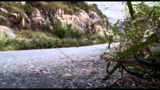 The M4 Compact SUV - Great Wall Motors Malaysia