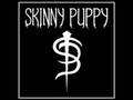 skinny puppy - daddyuwarbash