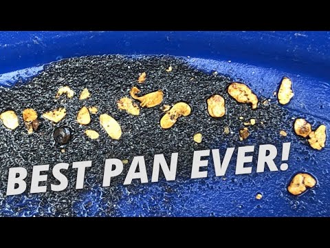 Best Pan Ever! Panning out chunky gold pickers from along the river bank.