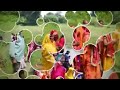 Yuva Shardda Samiti Sulsuli 2025