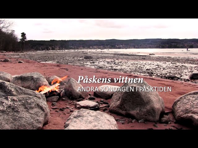 Pronúncia de vídeo de påtaglig em Sueco