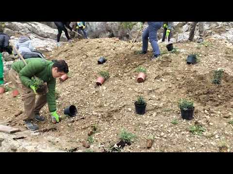 Arbolada de Primavera en Alfarnatejo 1. 20 marzo 2022