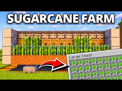 BEST SUGARCANE Farm in Minecraft 1.21+ (Tutorial)