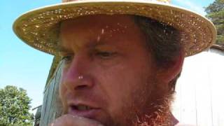 homesteadseres garden update 2