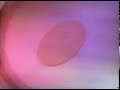 1994 PBS Logo