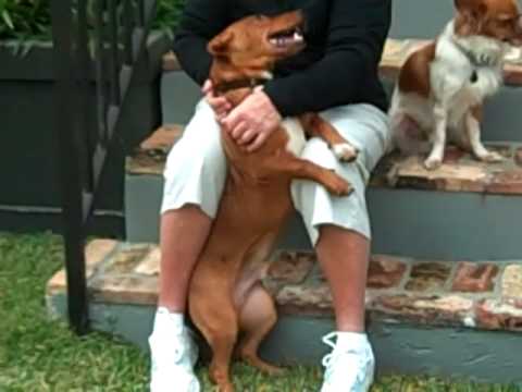 TOBY February 2010 - happy valentine's day